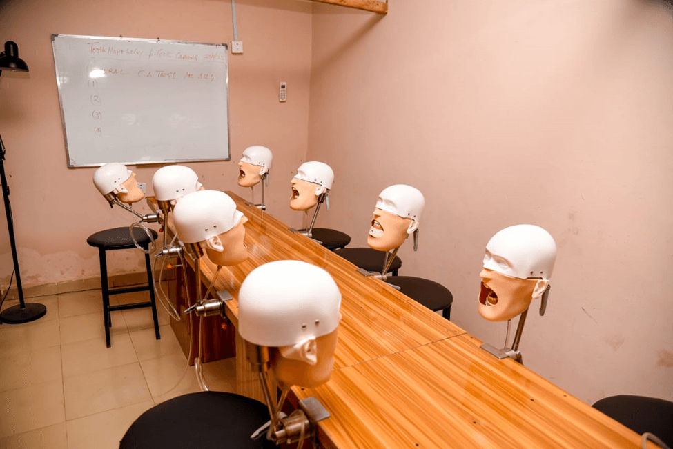 Dental Therapy